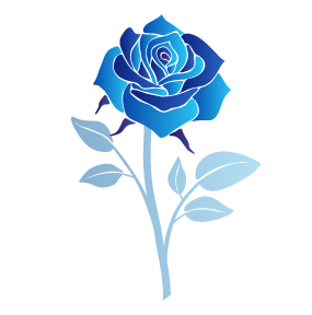 Vibe  |  Blue Rose Group, Inc 